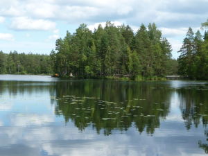 Jedno z jazier v parku Nuuksio