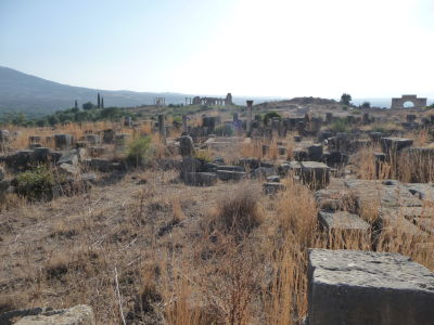 Ruiny rímskeho mesta Volubilis