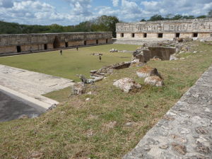 Leguán obzerajúci si Nádvorie mníšok (Cuadrangulo de las Monjas)