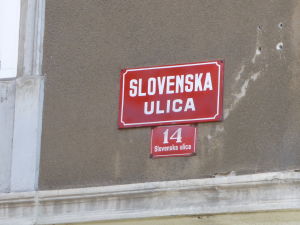 Slovenská slovinsky = Slovinská slovensky