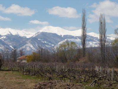 Balkáske hory a vinice v Macedónsku