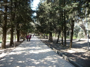 Mestský park v Tirane