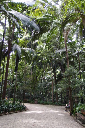 Avenida Paulista - Park Tenente Siqueira Campos