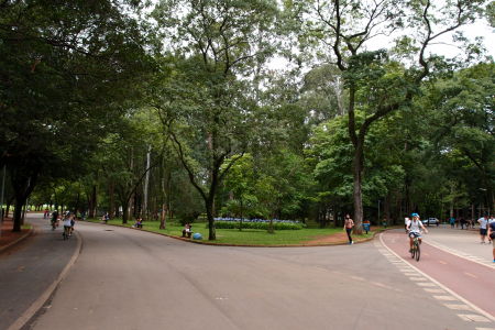 Park Ibirapuera