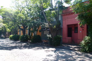 Stromy a farebné budovy na Plaza Mayor
