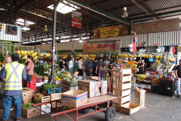 La Vega - najväčšia mestská tržnica v Santiagu de Chile