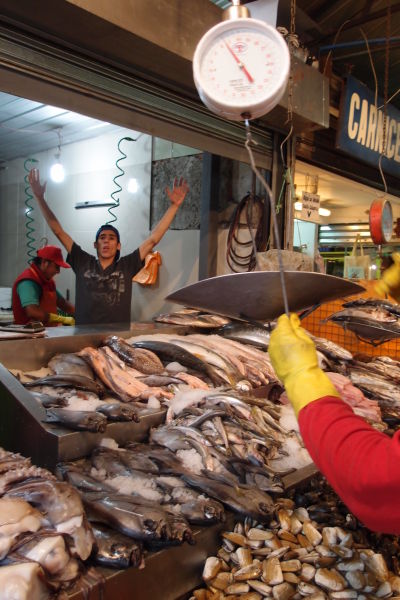 La Vega - najväčšia mestská tržnica v Santiagu de Chile - výber je obrovský, nakúpite tu napr. ryby a morské plody