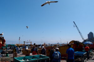 Rybí trh Caleta Portales vo Valparaíse