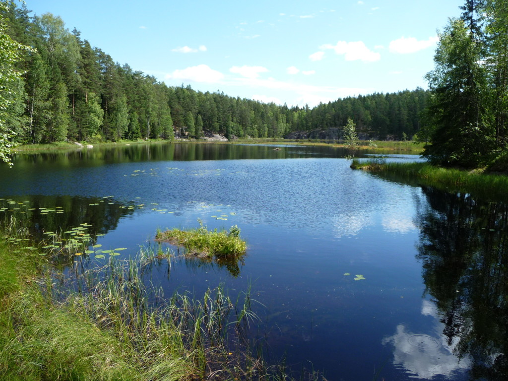 Jazero v Národnom parku Nuuksio