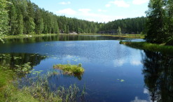 Jazero v Národnom parku Nuuksio