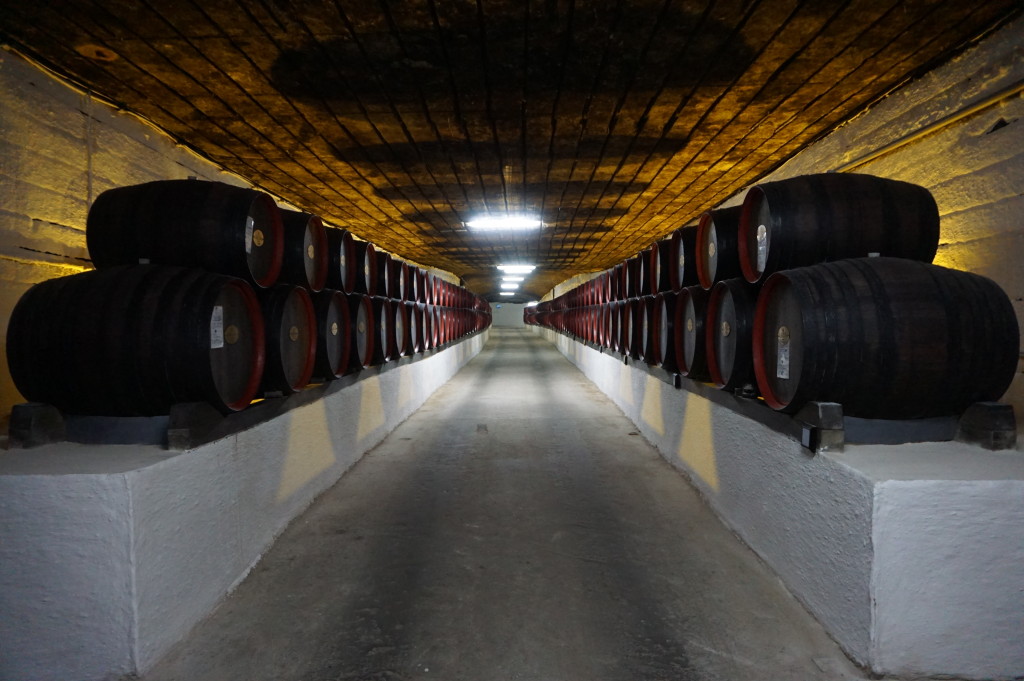 Vínne pivnice v Cricove