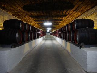 Vínne pivnice v Cricove