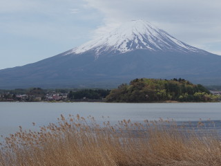 Sopka Fudži od jazera Kavaguči