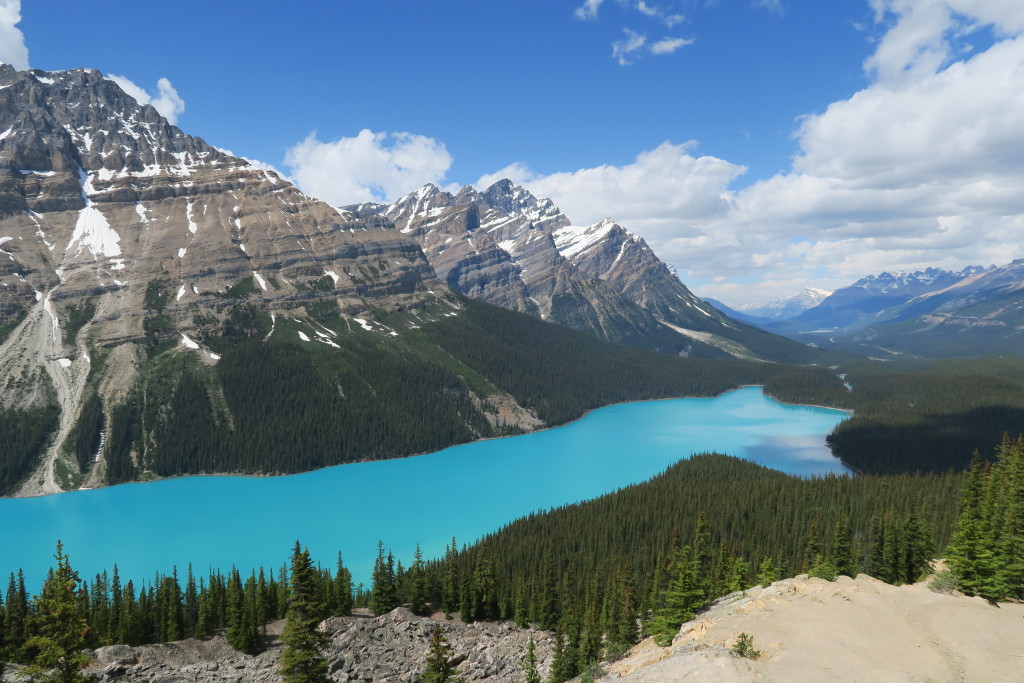 Jazero Peyto v národnom parku Banff