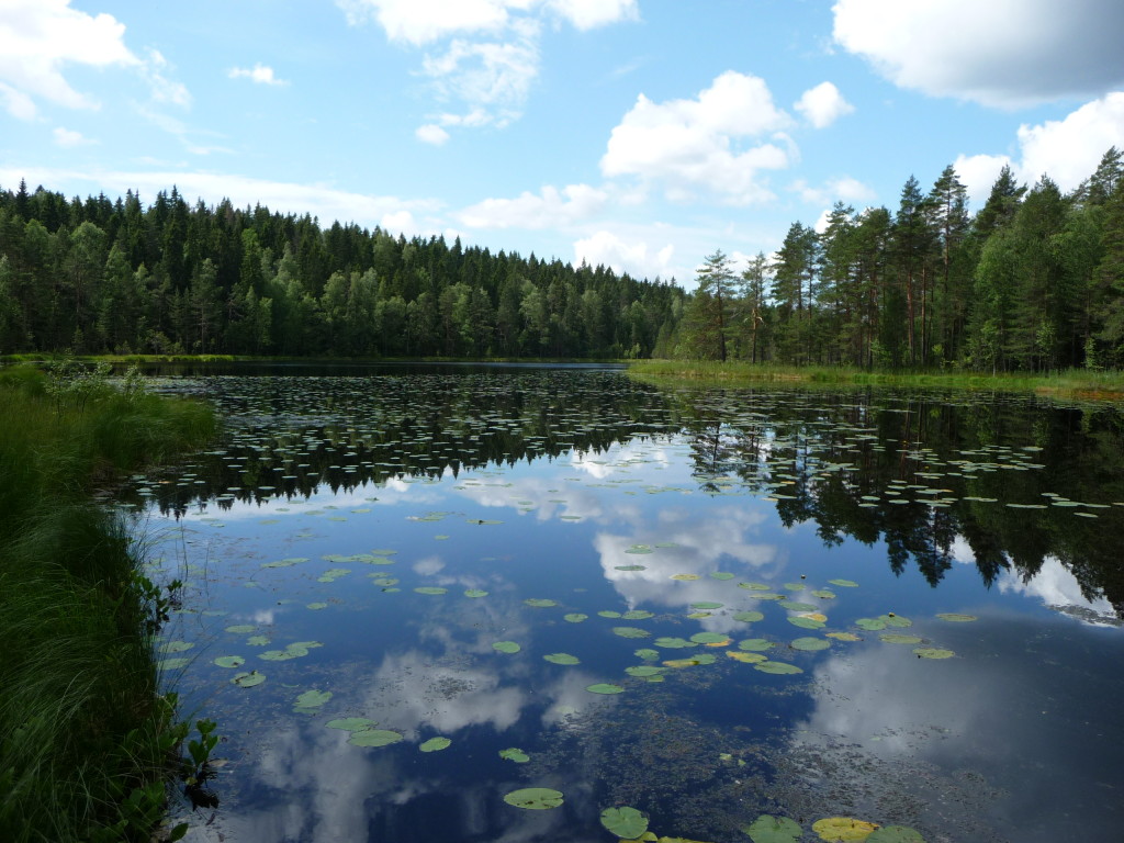 Národný park Nuuksio