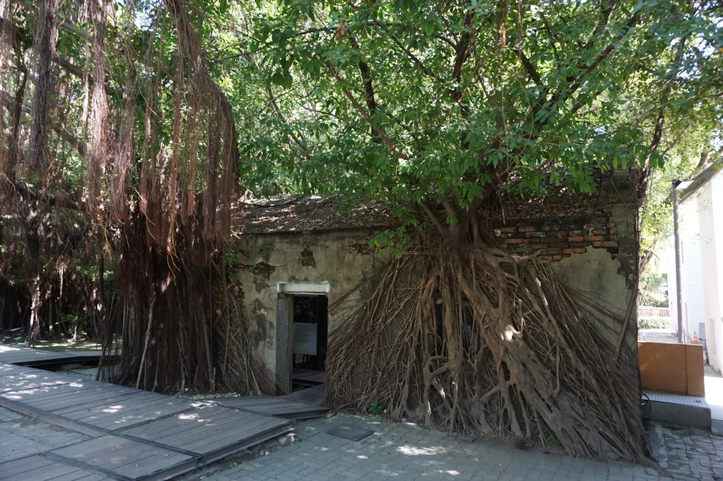 Stromový dom v Tchaj-nane